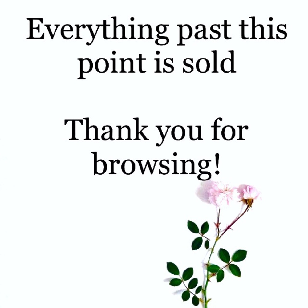 🌸🌸🌸
